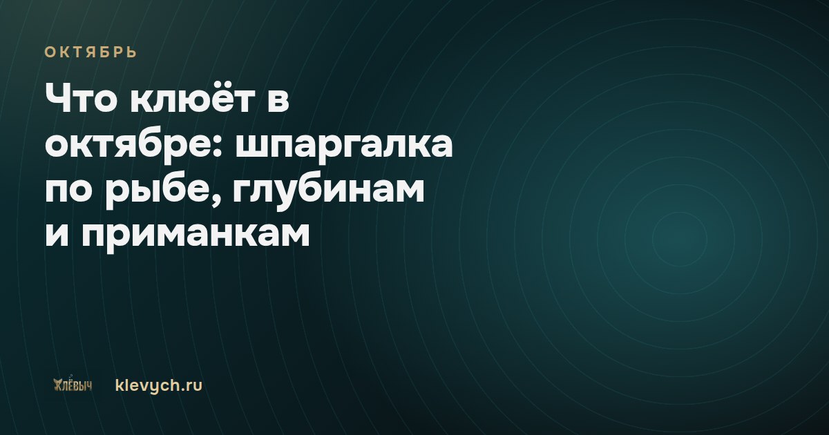 Что клюёт в октябре: шпаргалка по рыбе, глубинам и приманкам