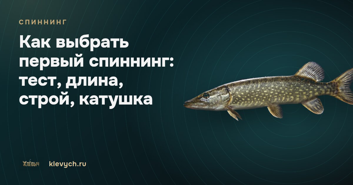 Как выбрать первый спиннинг: тест, длина, строй, катушка