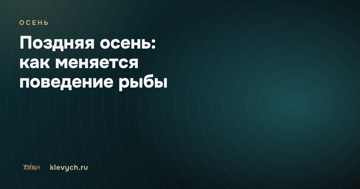 Поздняя осень: как меняется поведение рыбы