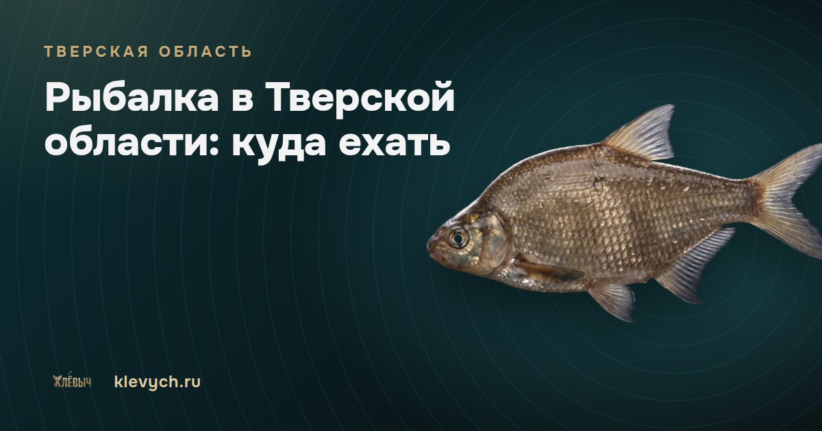 Рыбалка в Тверской области: куда ехать